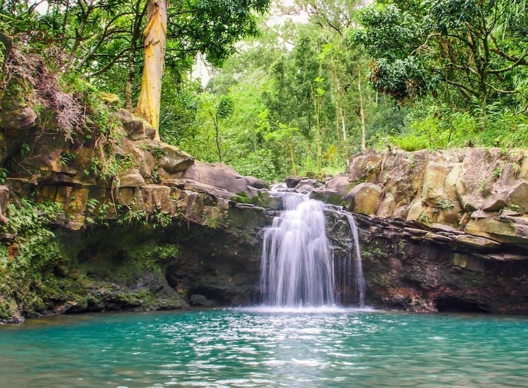 Waterfall & Rainforest Adventure