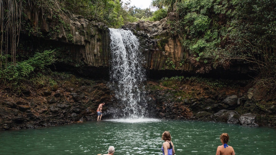 Waterfall & Rainforest Adventure