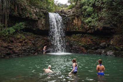Waterfall & Rainforest Hiking Adventure meet in Kahului