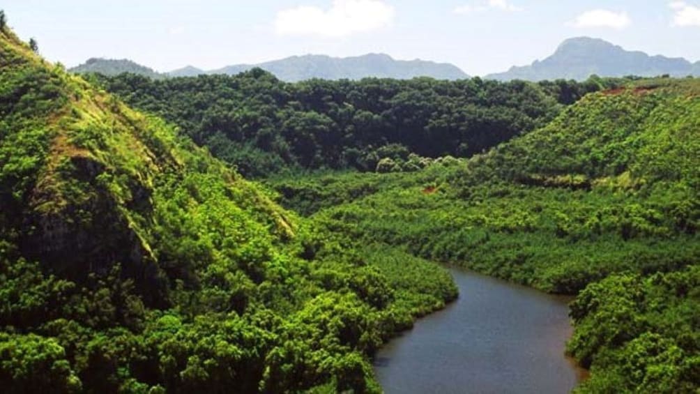 Fern Grotto Cruise 