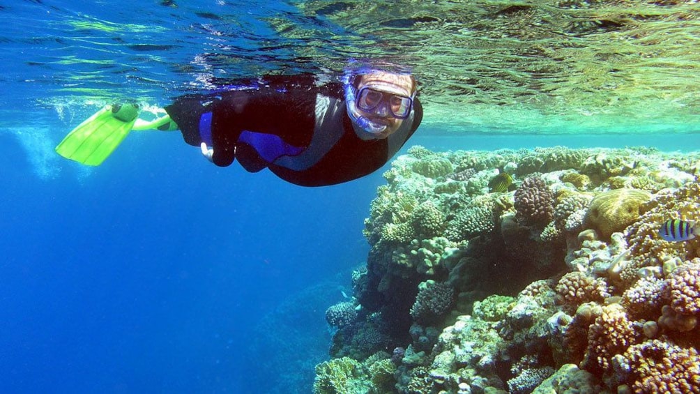 snorkeler skimming the surface of the ocean in Maui