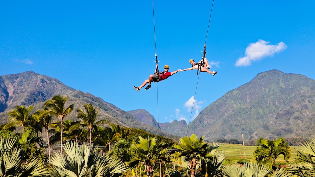 Two people holding hands as they zipline in Maui