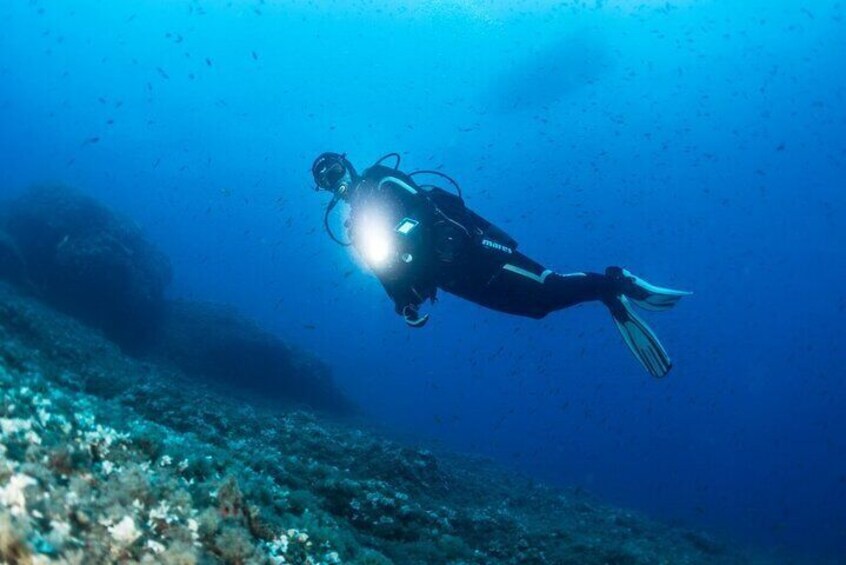 Two Morning Dives in Gozo for Certified Diver