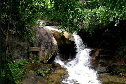 Huay Yang Waterfall and Visit Singkorn Border Market Private Tour from Hua ...