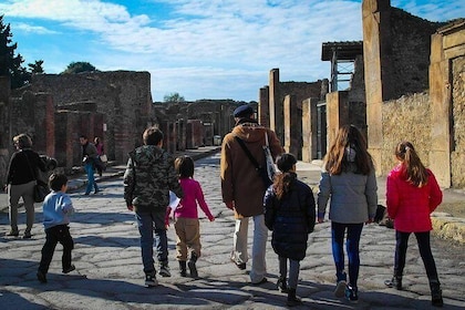 Private Tour: Pompeii Tour with Family Tour Option
