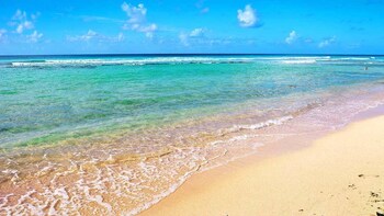 Barbados Coastal Tour with Buffet Lunch
