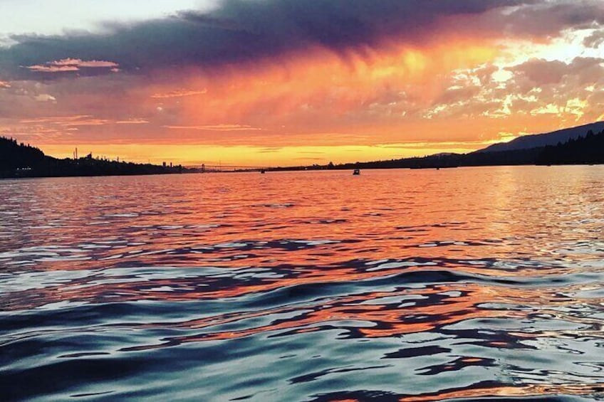 2 Hour Chartered Boat Tour from Deep Cove North Vancouver