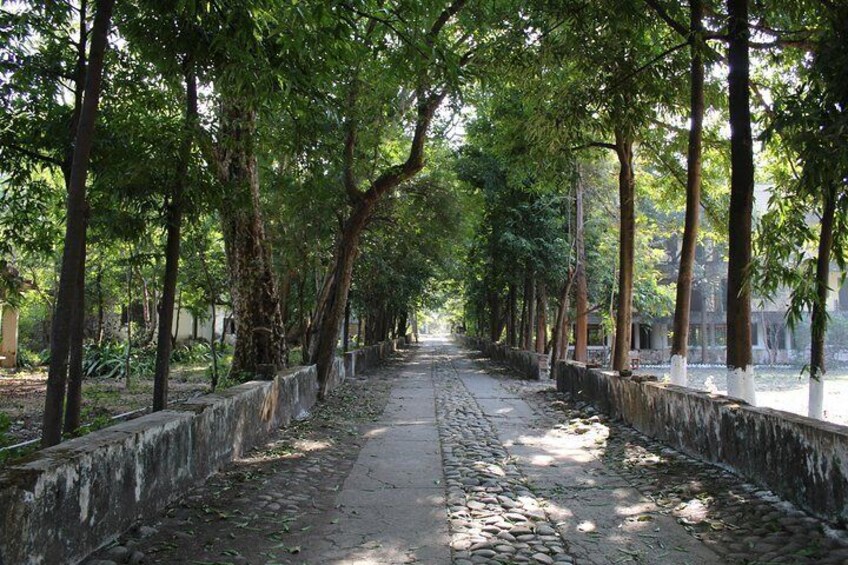 Walk in the Beatles Ashram