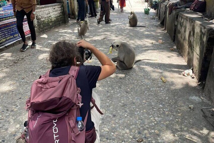 Ashram Tour By Walk in Rishikesh (Private Tour)