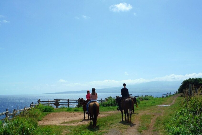 Oceanfront Horseback Trail Ride