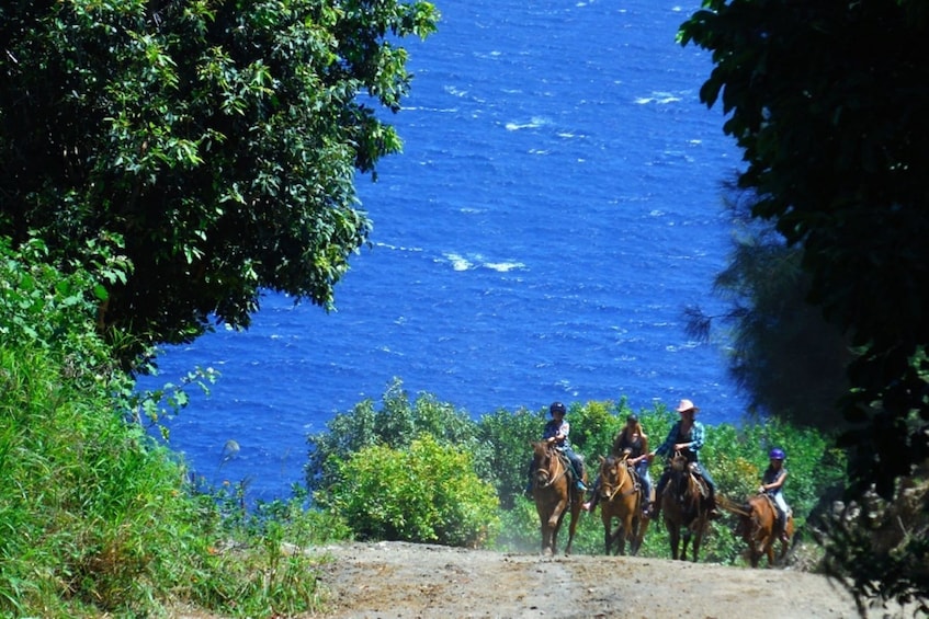 Show item 5 of 8. Oceanfront Horseback Trail Ride