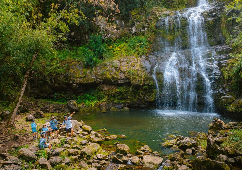 Kohala Waterfalls Adventure