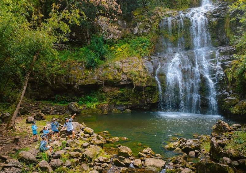 Kohala Waterfalls Adventure