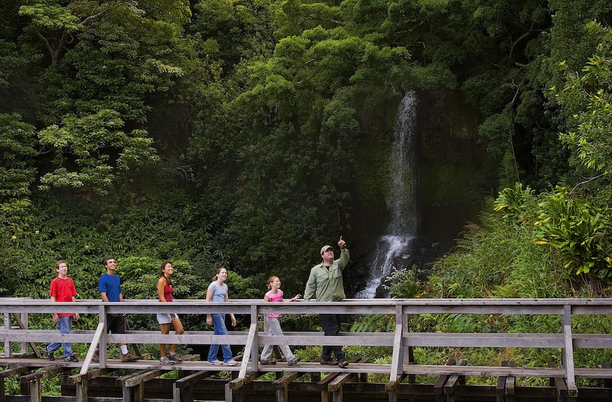 Kohala Waterfalls Adventure