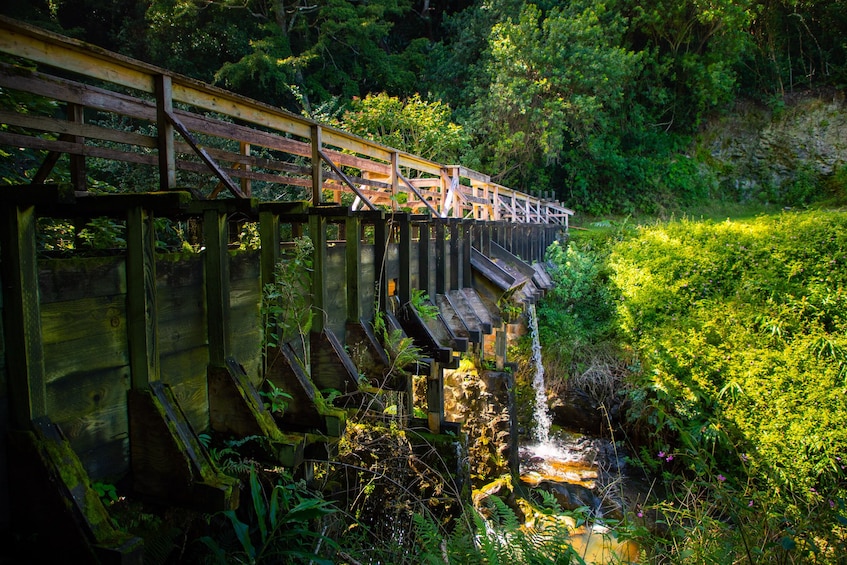 Kohala Waterfalls Adventure