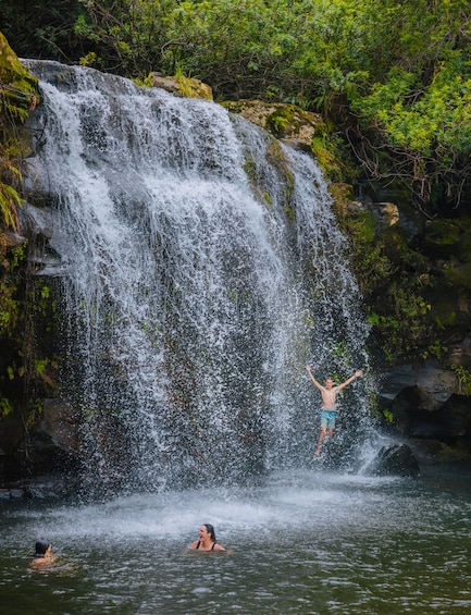 Kohala Waterfalls Adventure