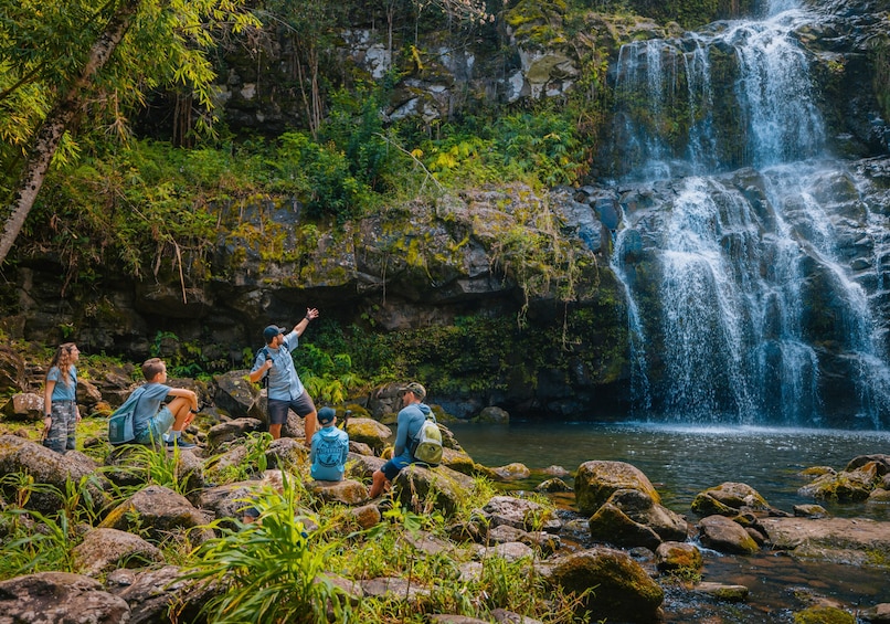 Kohala Waterfalls Adventure