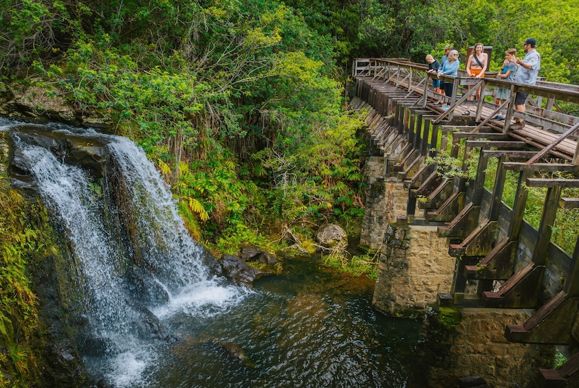 Kohala Waterfalls Adventure