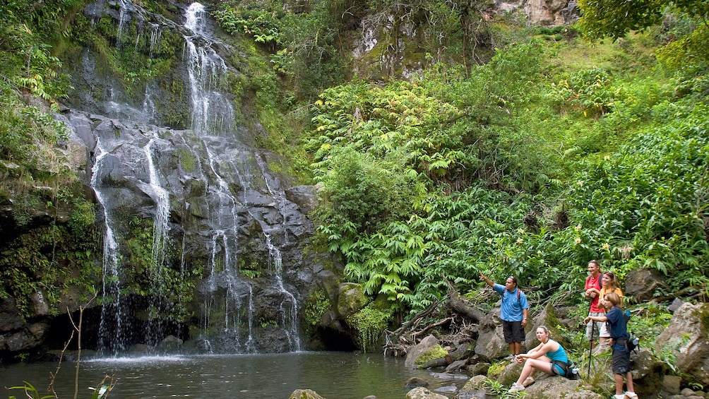 Group sitting near waterfall in Hawaii 