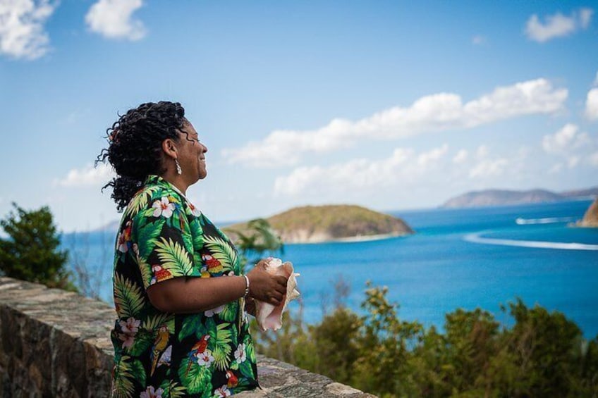 Hibiscus enjoys the view