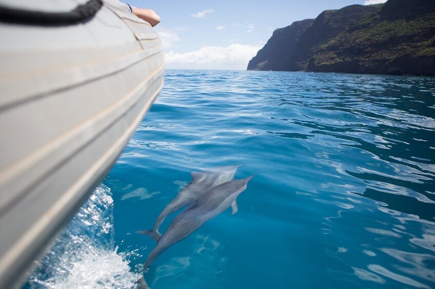 Napali Coast Snorkel Adventure from Hanalei Bay