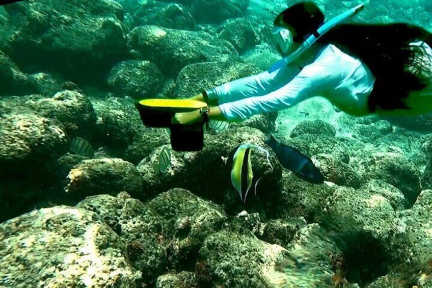 Kauai Snorkeling Adventure