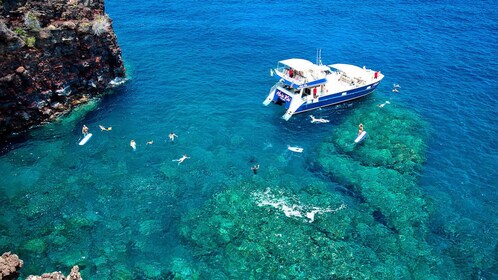 Snorkeltur på Kona-kysten