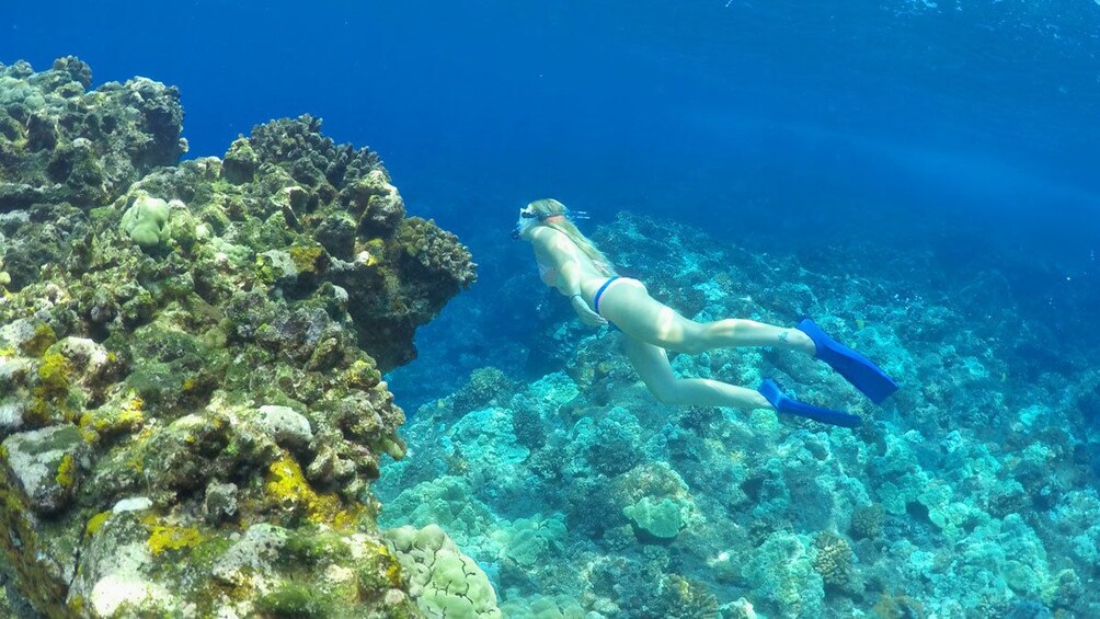 Deluxe Snorkel Tour