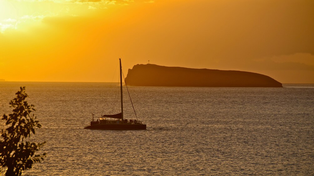 catamaran in the water during sunset in Maui