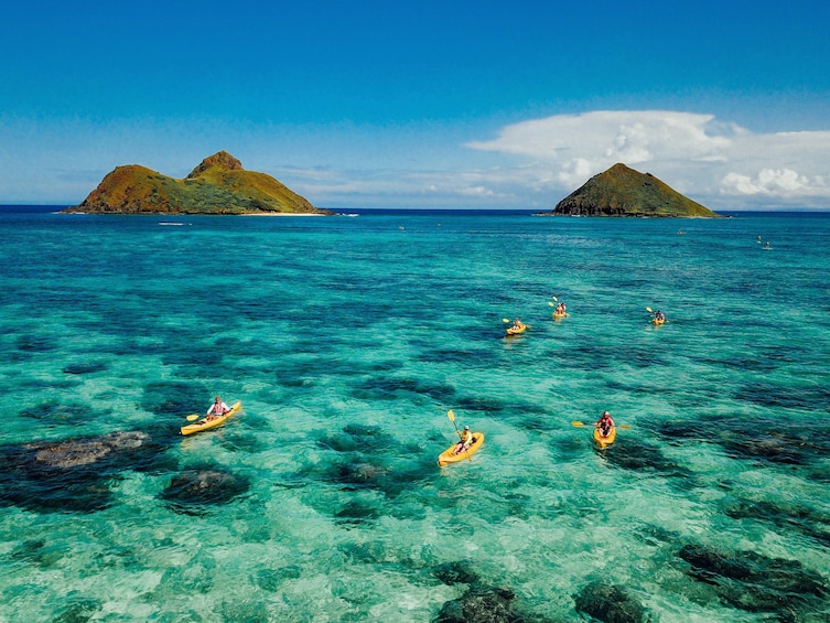 Twin Islands Guided Kayak Tour