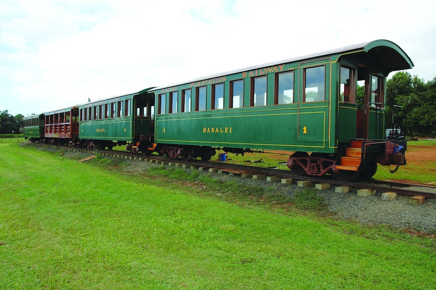 Luau Buffet Dinner, Open Bar and Show w/ Train Ride