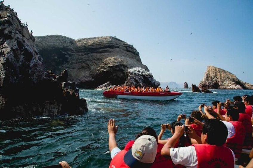 Ballestas Islands & National Reserve of Paracas