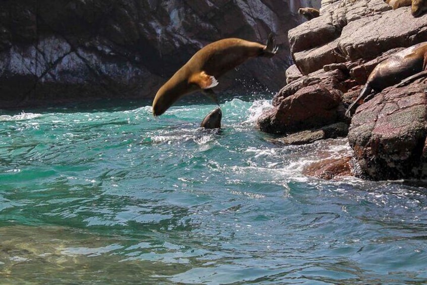 Ballestas Islands & National Reserve of Paracas