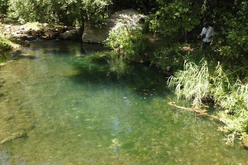 From Catania, Syracuse and Taormina: fly fishing experience