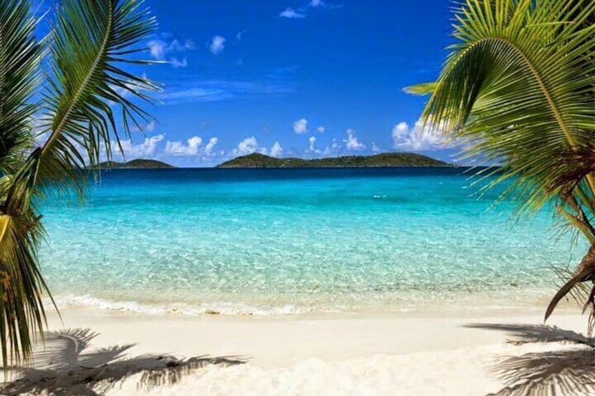 Relax on the beach at Île-à-Vache