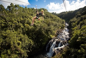 Zipline Through Paradise