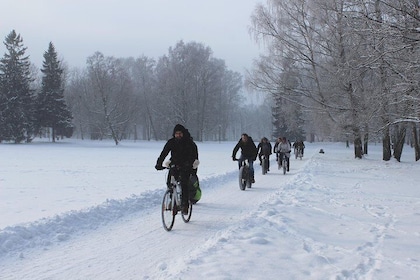 Tallinn Winter Bike Tour with Cafe Stop