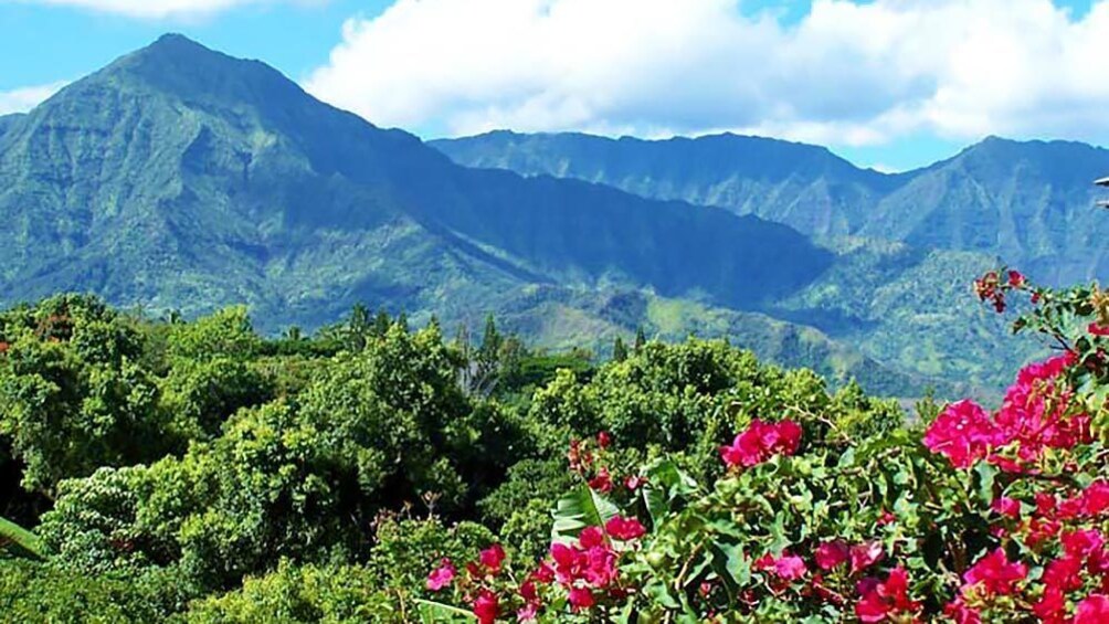 Landscape view of Kauai mountains during the day.