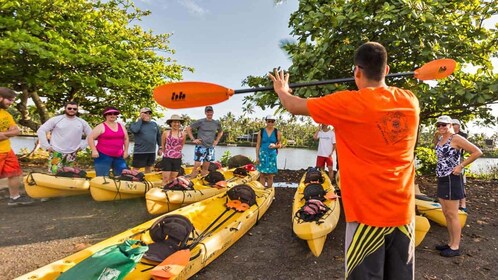 sacred kayak wailua guided falls river tour expedia