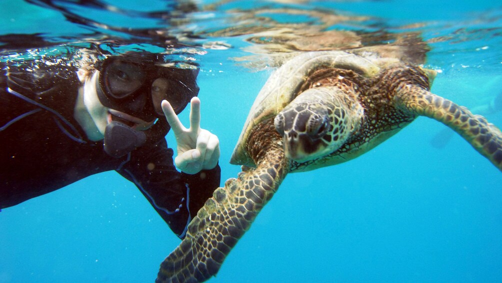 Catamaran Sail & Snorkel Tour in Hawaii 