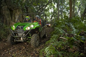 4x4 Waterfall Jungle Tour