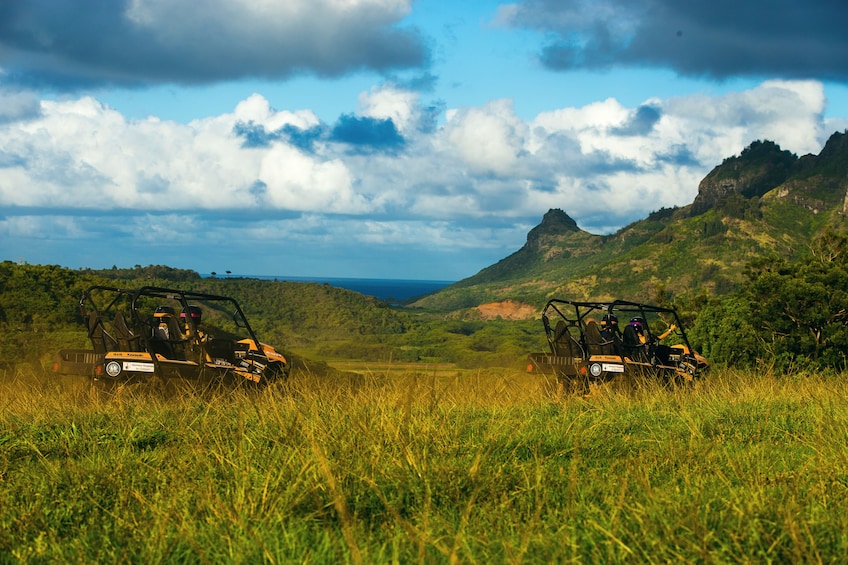 Scenic UTV Ultimate Ranch Tour 