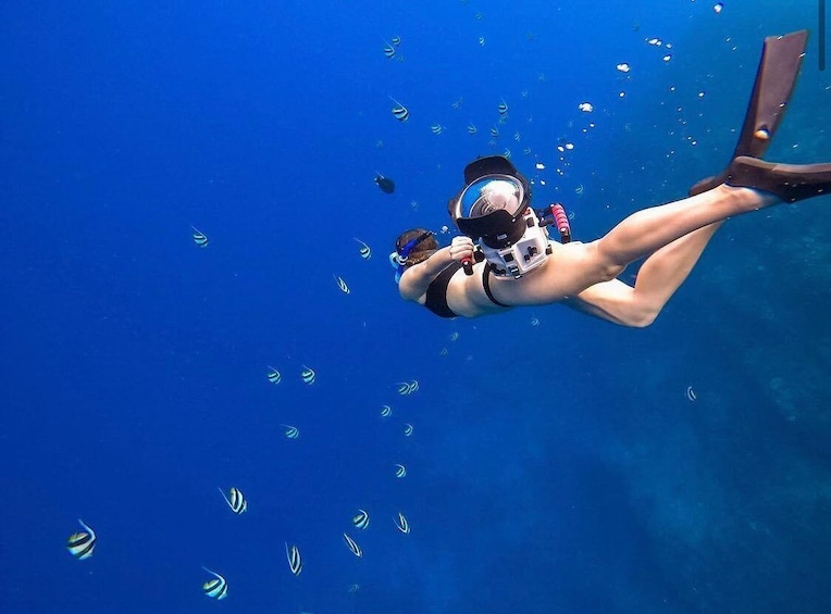 3 hour Molokini Plus