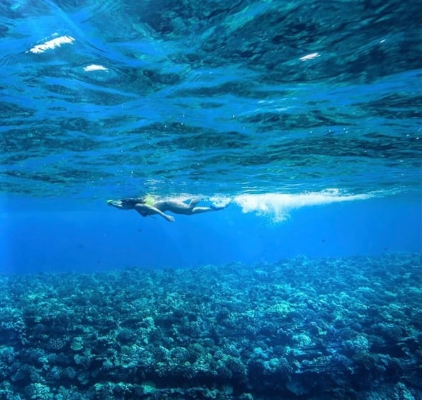 3 hour Molokini Plus