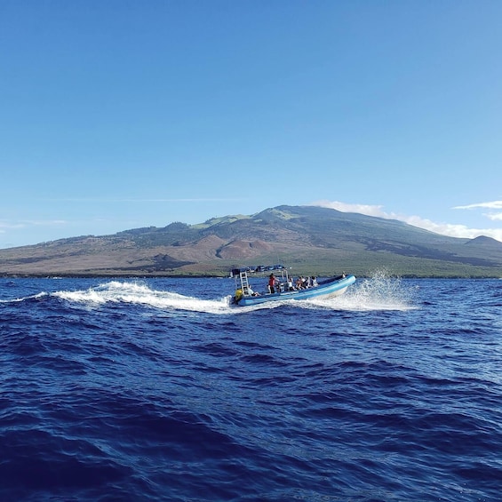 4 hour Snorkel and tour Kanaio Coast