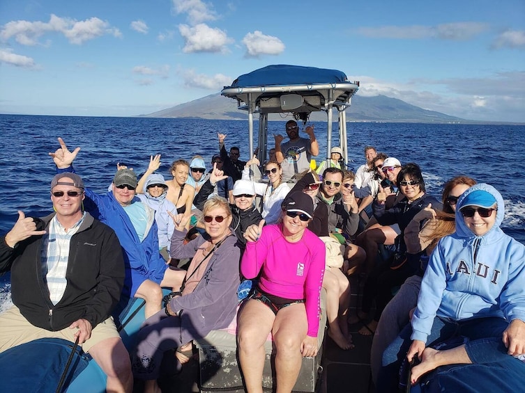 1.5 hour Guaranteed Whale Watch