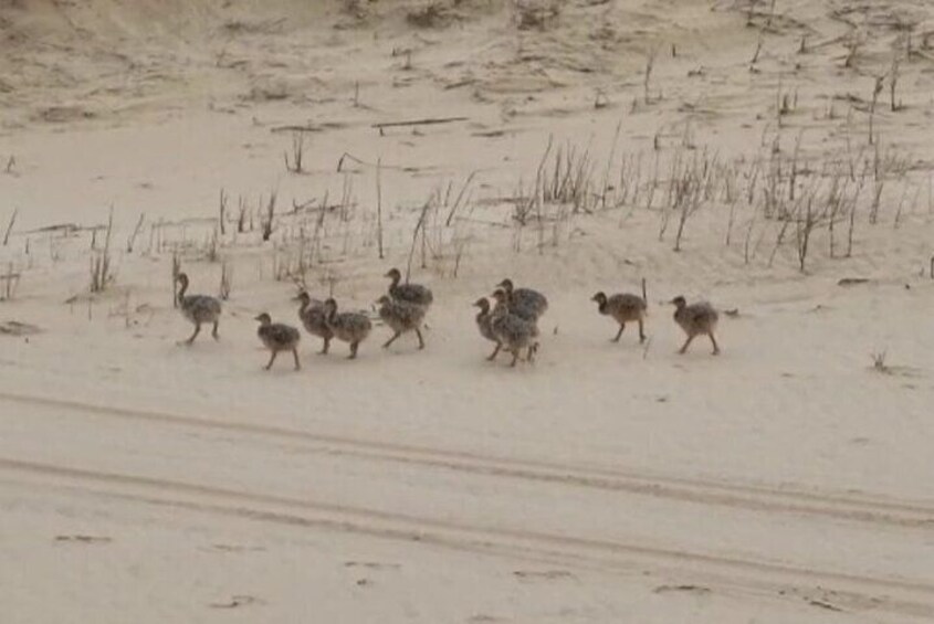 Sandwich Harbour 4x4 Private Guided Tour - Your very own private tour!