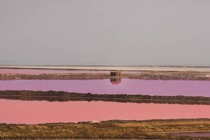 Pink Salt Lakes