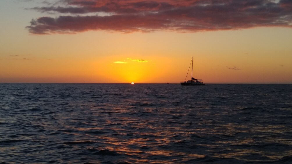 COMBO: Sunset and Night Manta Ray Snorkel Adventure