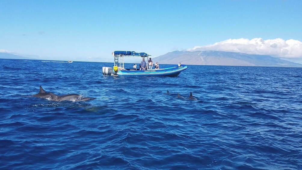 2.5 hour Whale Express/Molokini Snorkel (Seasonal)